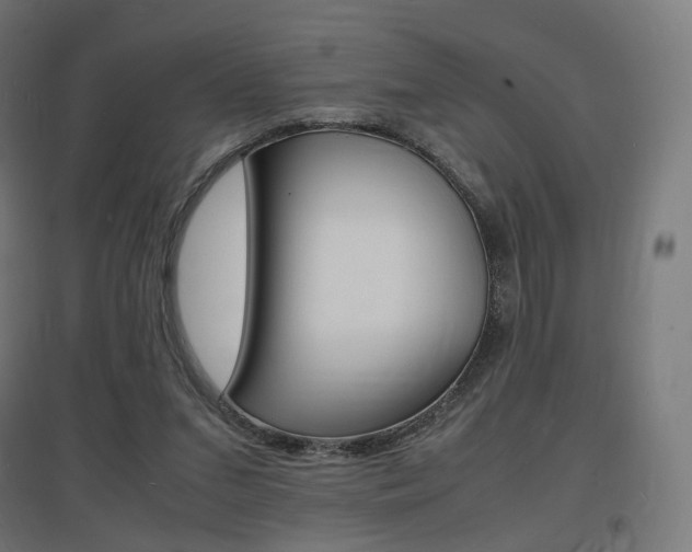 X0000097620207200802290828