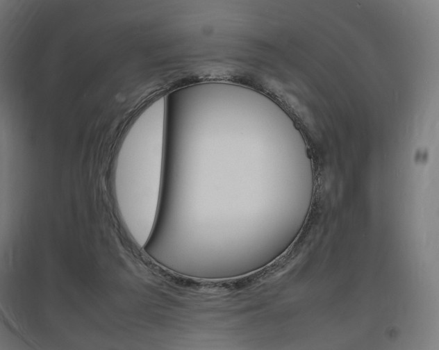 X0000097620209200802290828