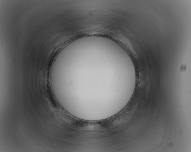 X0000097620210200802290828