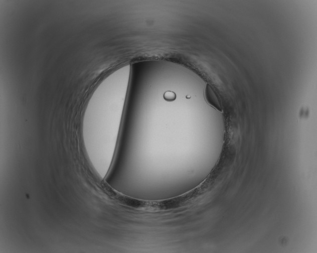 X0000097620211200802290828