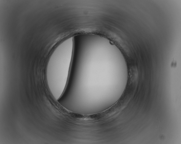X0000097620212200802290828