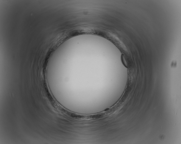 X0000097620213200802290827
