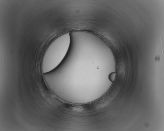 X0000097620214200802290827