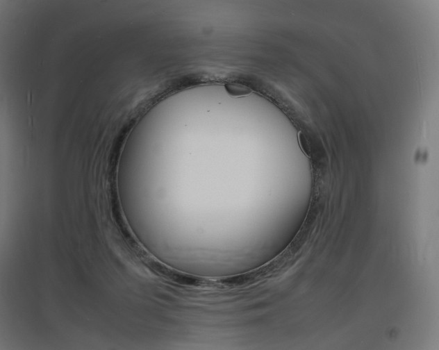 X0000097620215200802290827