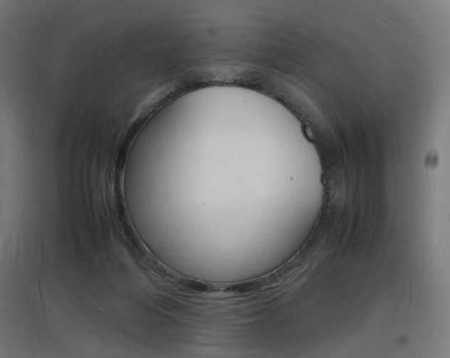 X0000097620216200802290827