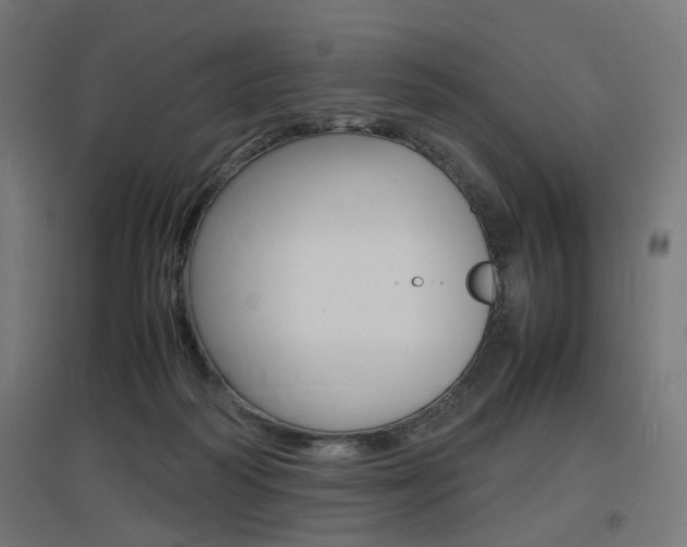 X0000097620218200802290827