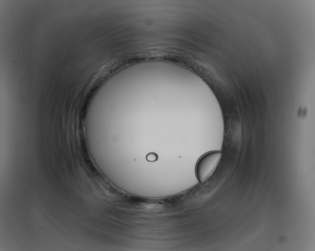 X0000097620220200802290827
