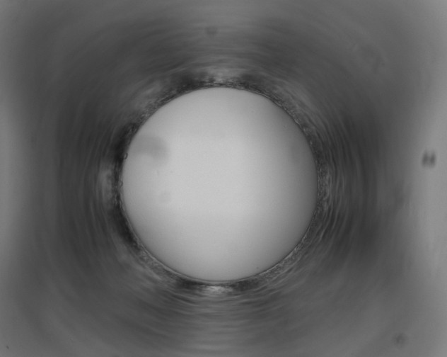 X0000097620222200802290827