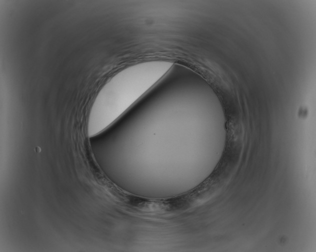 X0000097620223200802290827
