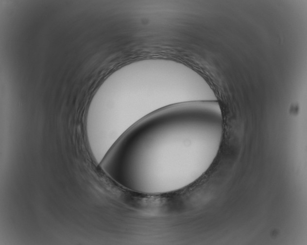 X0000097620225200802290827