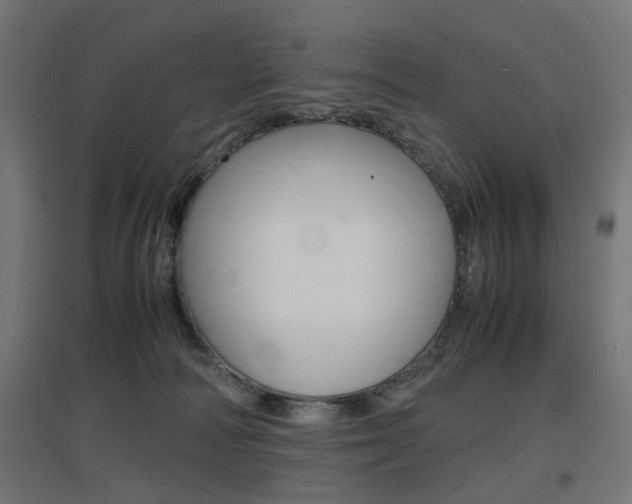 X0000097620226200802290827