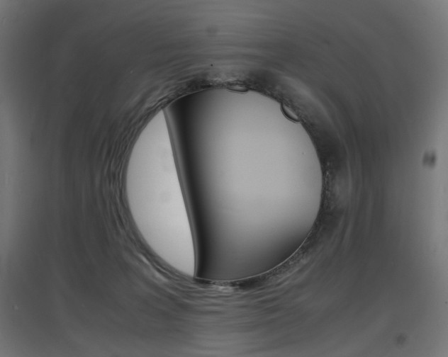 X0000097620227200802290827