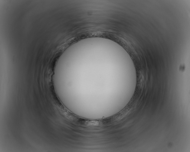X0000097620230200802290827