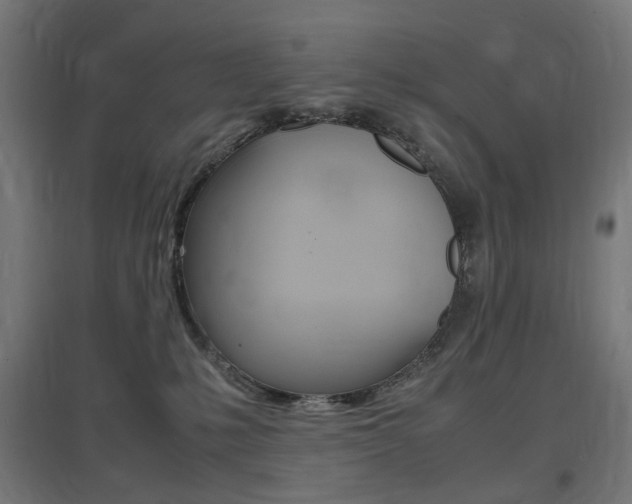 X0000097620231200802290827