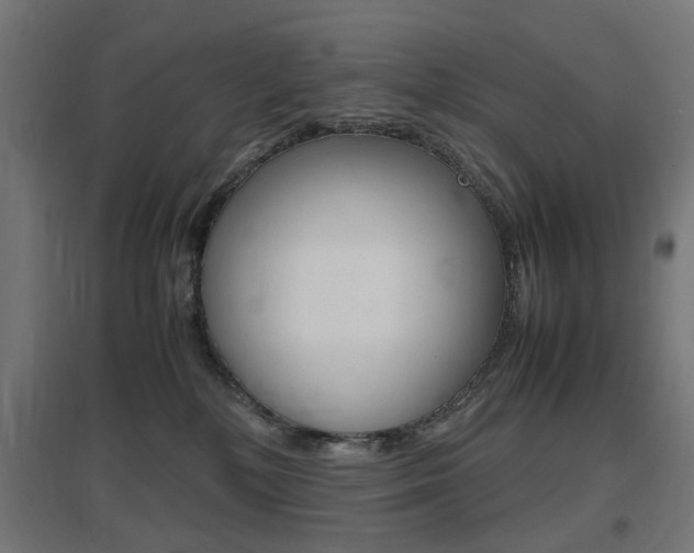 X0000097620232200802290827
