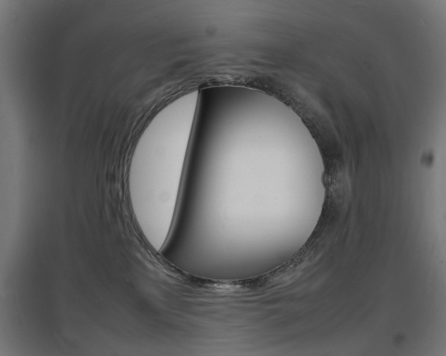 X0000097620233200802290827