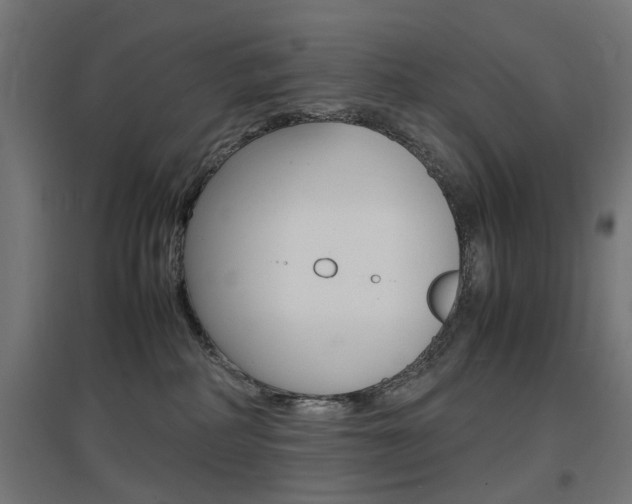 X0000097620234200802290827