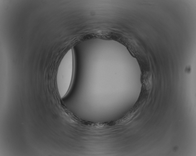 X0000097620235200802290827