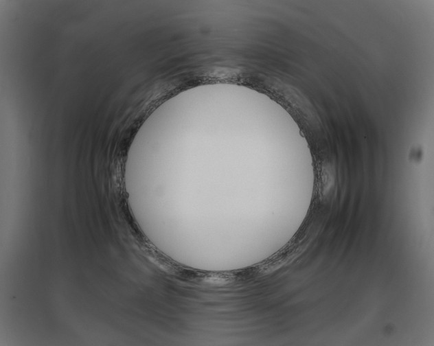 X0000097620236200802290827