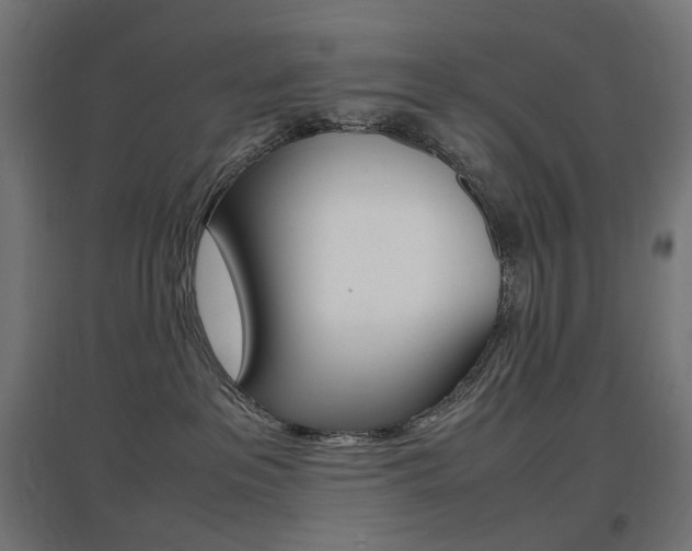 X0000097620237200802290827