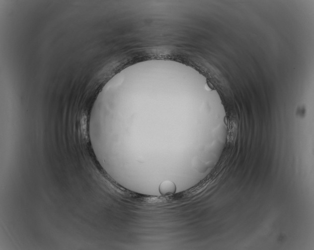 X0000097620238200802290827