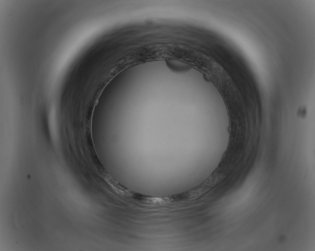 X0000097620239200802290827