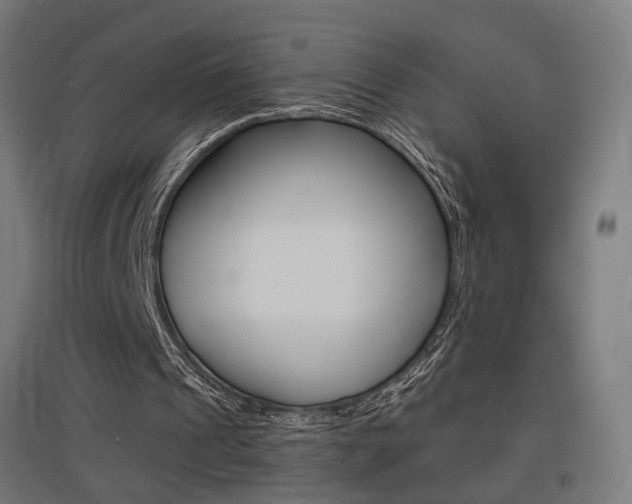 X0000097620241200802290826