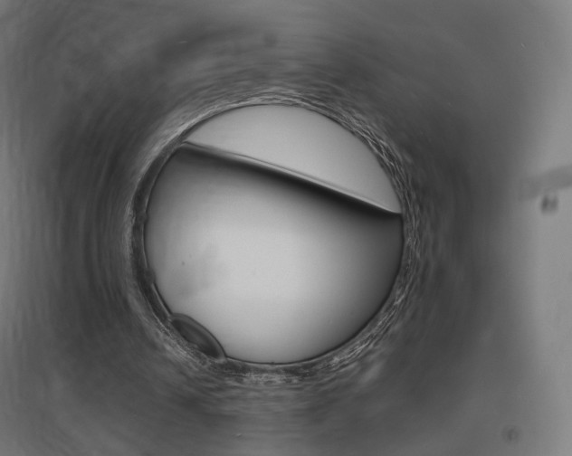 X0000097620242200802290826