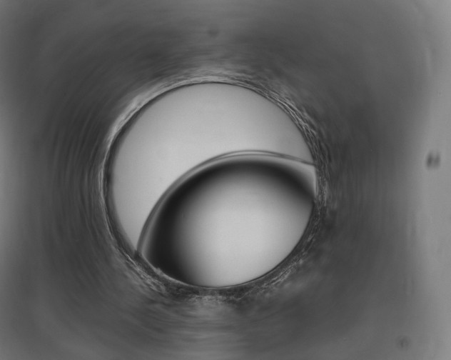 X0000097620244200802290826