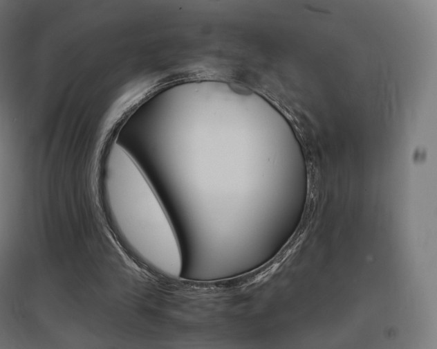 X0000097620245200802290826
