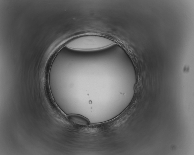 X0000097620247200802290827
