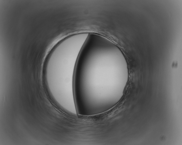 X0000097620248200802290827