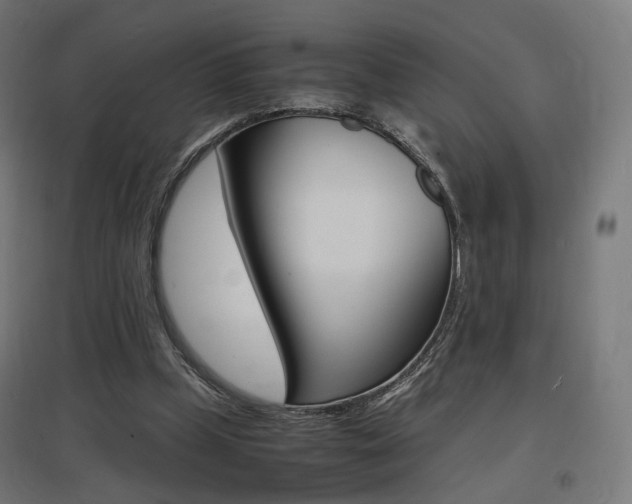 X0000097620249200802290827