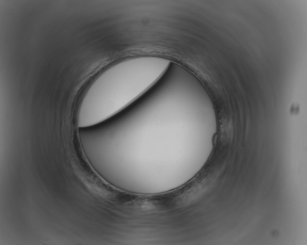 X0000097620254200802290827