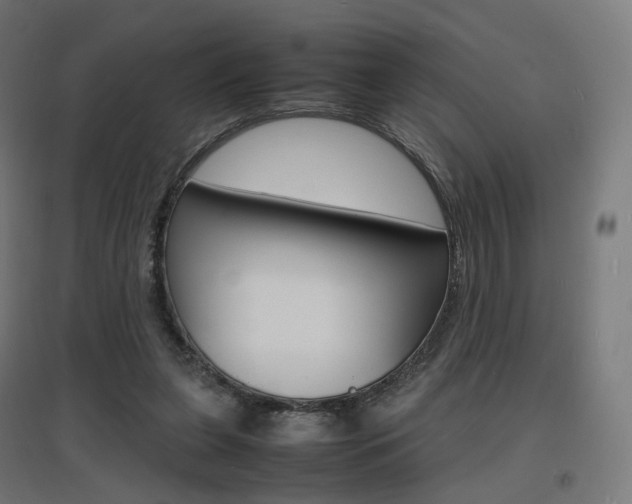 X0000097620255200802290827