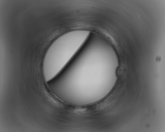 X0000097620257200802290827