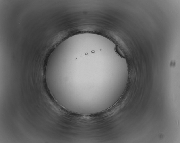 X0000097620261200802290827