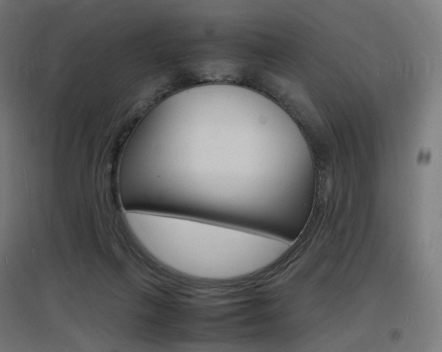 X0000097620263200802290827