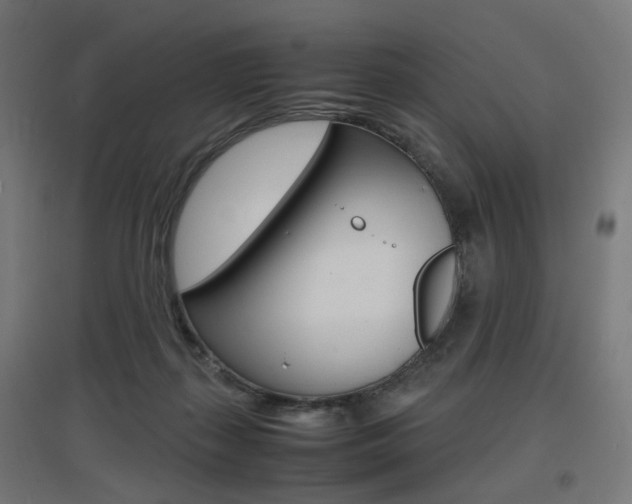 X0000097620267200802290827
