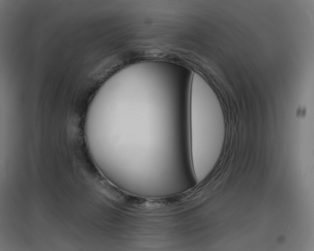 X0000097620270200802290827