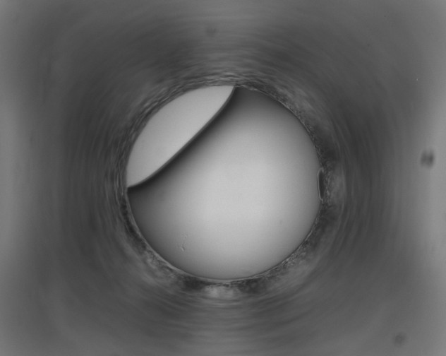 X0000097620272200802290827