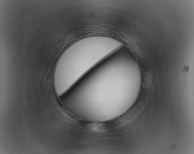 X0000097620273200802290827