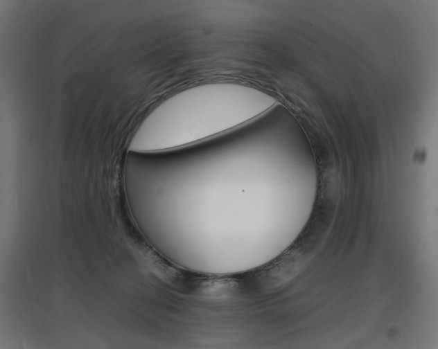 X0000097620274200802290827