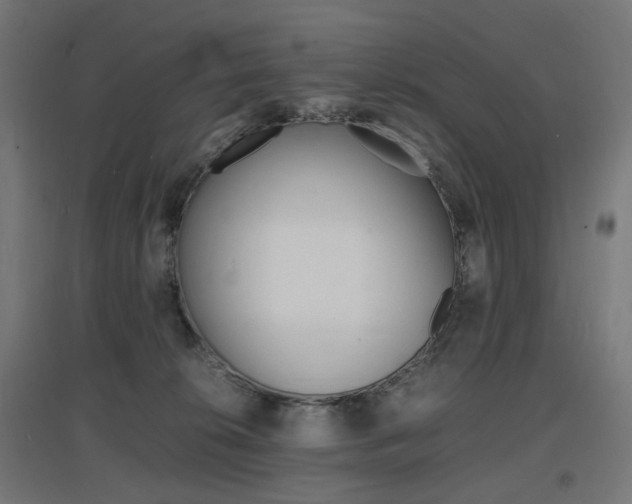 X0000097620276200802290827