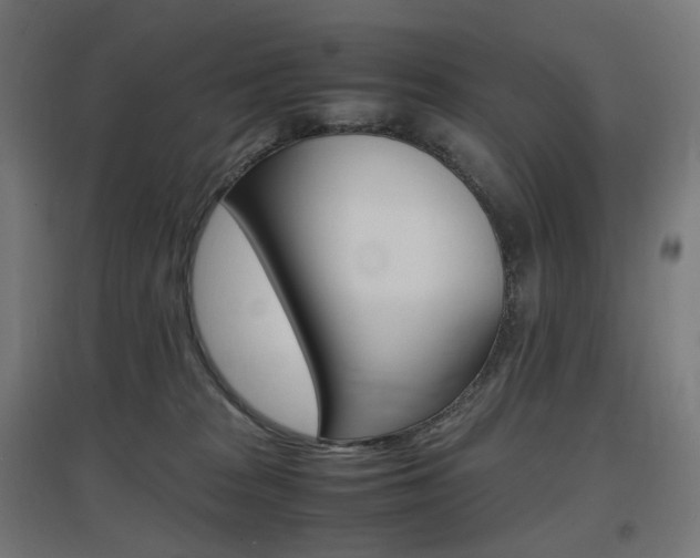 X0000097620277200802290827