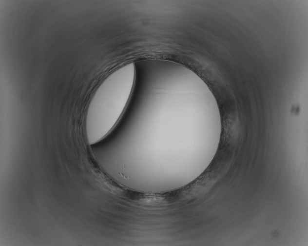 X0000097620278200802290827