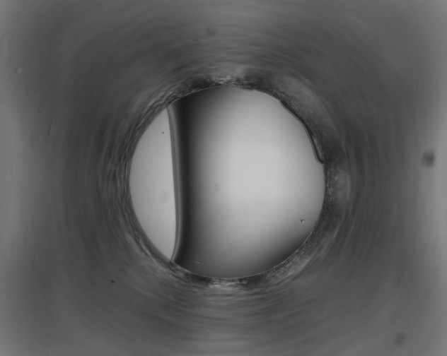 X0000097620280200802290827