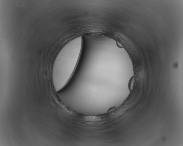 X0000097620281200802290827