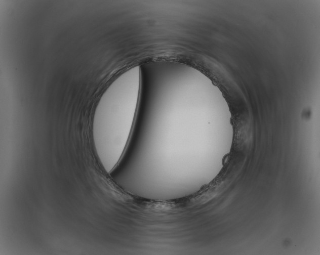 X0000097620282200802290827
