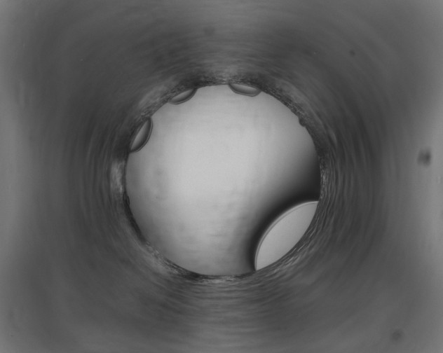 X0000097620286200802290827